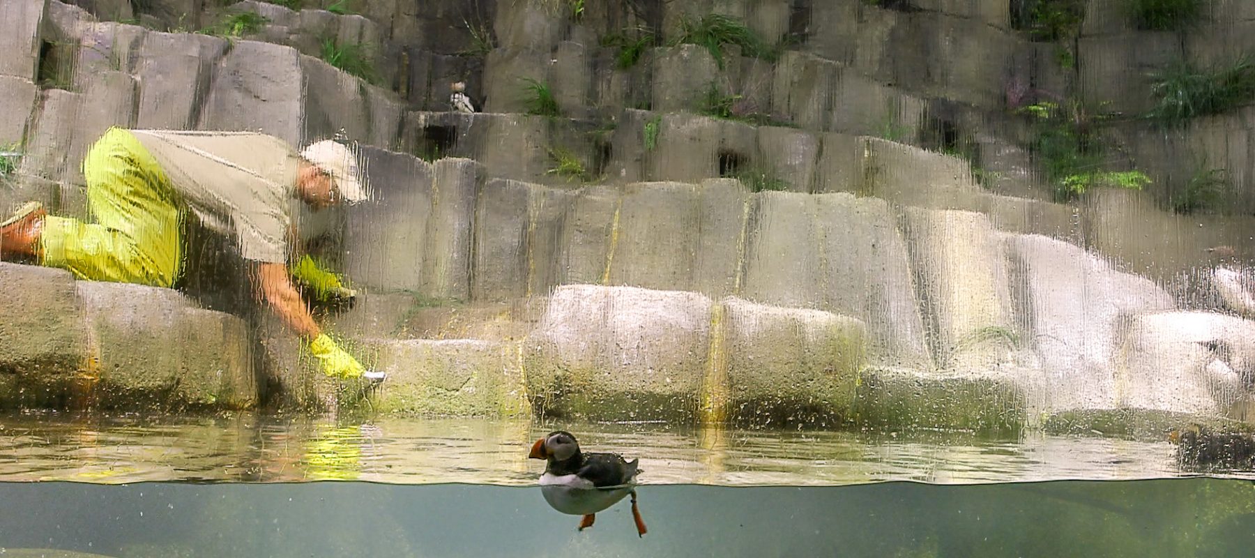 A building with a bird in the water