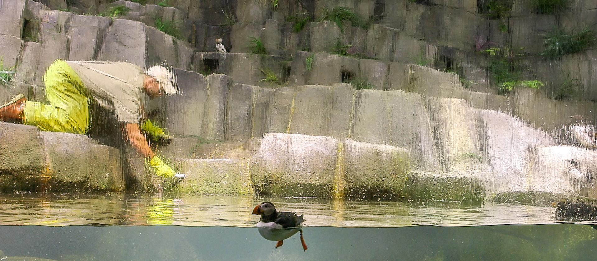 A building with a bird in the water