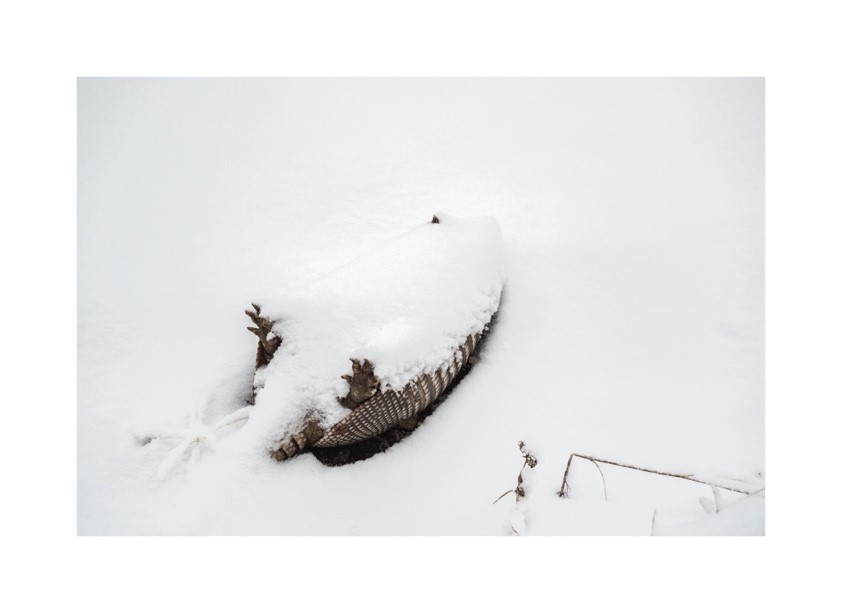 A close up of a snow covered slope